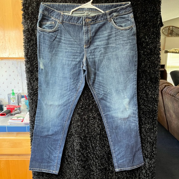 Apostrophe Premium Distressed Jeans 